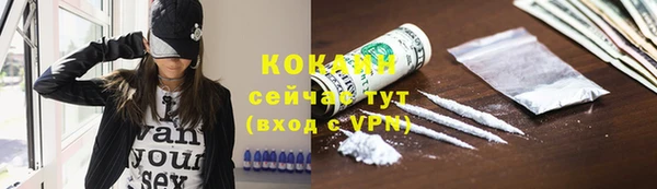 PSILOCYBIN Кодинск
